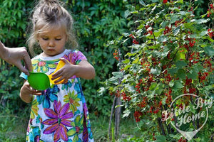 Bilibo Mini – 6 kleine Bilibo-Schalen - tablude.com