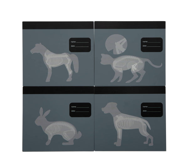 Rollenspielset Arzttasche - Tierarzt-Tasche mit Hase