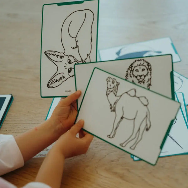 Nachfüllkarten – Kidydraw Mini – Tiere der Welt / Ozean und Piraten (60 Stück)