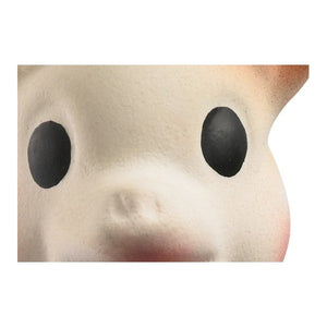 Sophie die Giraffe  in Kartonverpackung - tablude.com