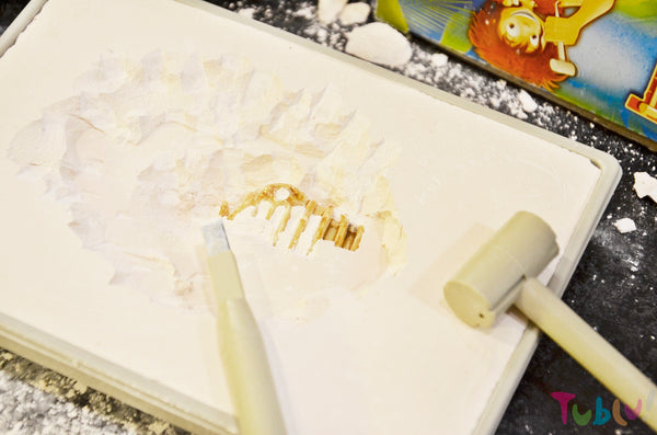 Kleiner Archäologe - Stegosaurus - tablude.com