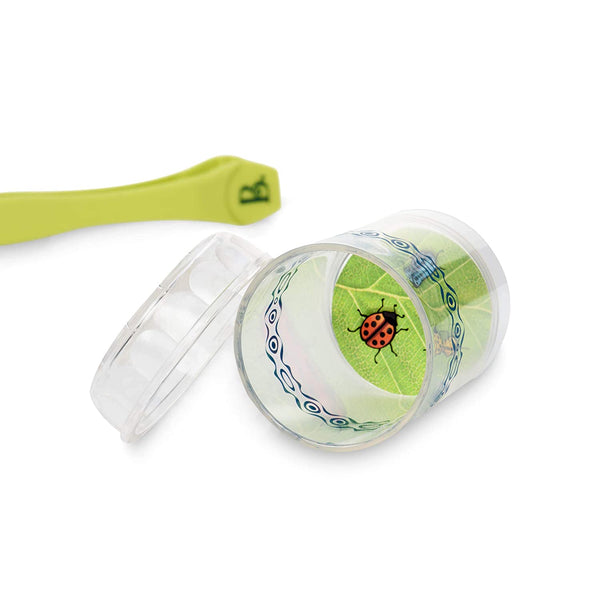 Set zum Fangen und Beobachten von Insekten – Bug Bungalow - tablude.com