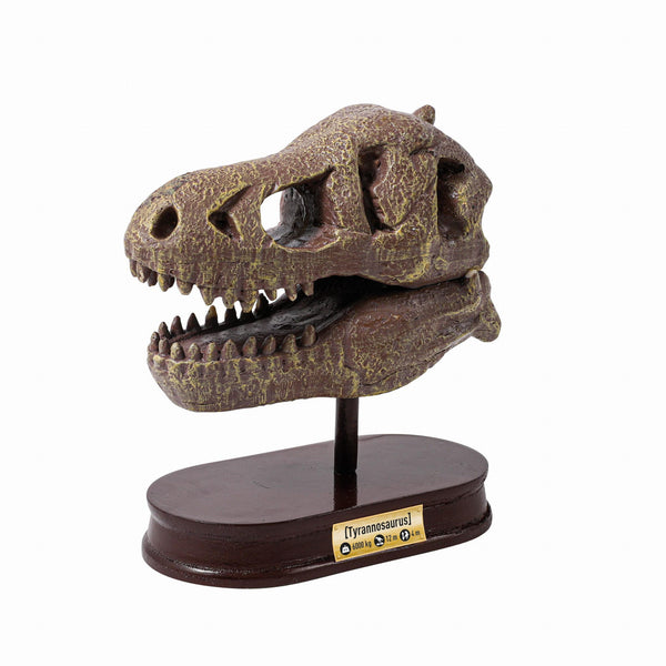 Dinosaurier-Schädelmuseum - Tyrannosaurus - tablude.com