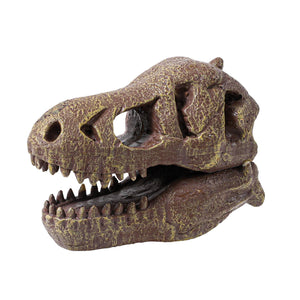 Dinosaurier-Schädelmuseum - Tyrannosaurus - tablude.com
