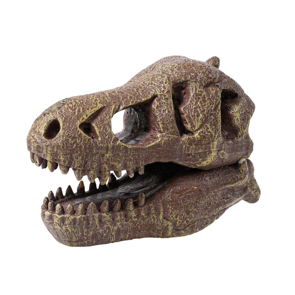 Dinosaurier-Schädelmuseum - Tyrannosaurus - tablude.com