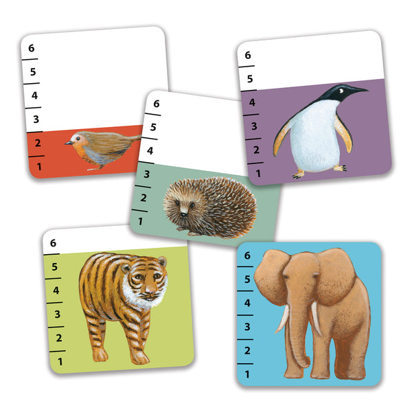 Gra karciana Djeco - Batanimo - tablude.com