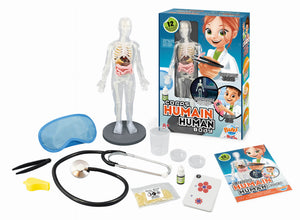 Experimentiersatz - Menschlicher Körper - tablude.com