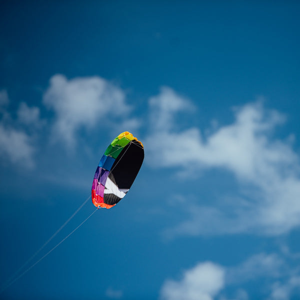 Drachen RIO 2.5 Rainbow