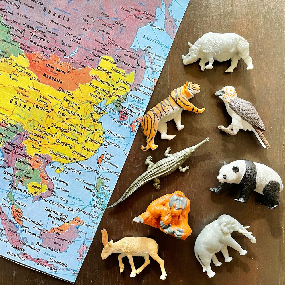 Figurenset in einer Tube TOOB – Tiere Asiens - tablude.com