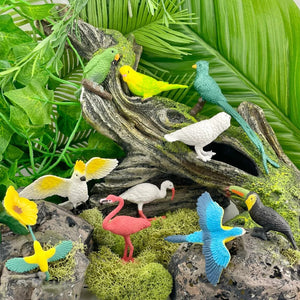 Figurenset in einer Tube TOOB – Exotische Vögel - tablude.com