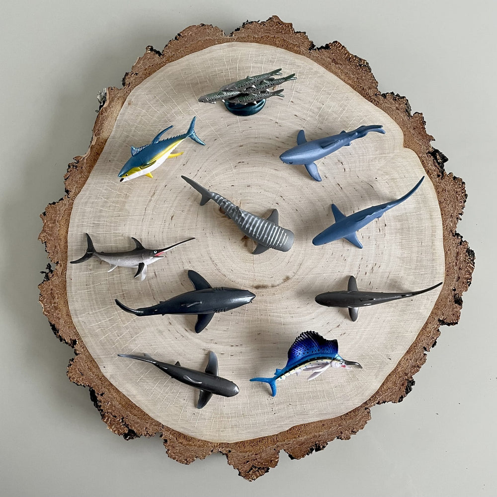 Figurenset in einer Tube TOOB – Große pelagische Fische - tablude.com