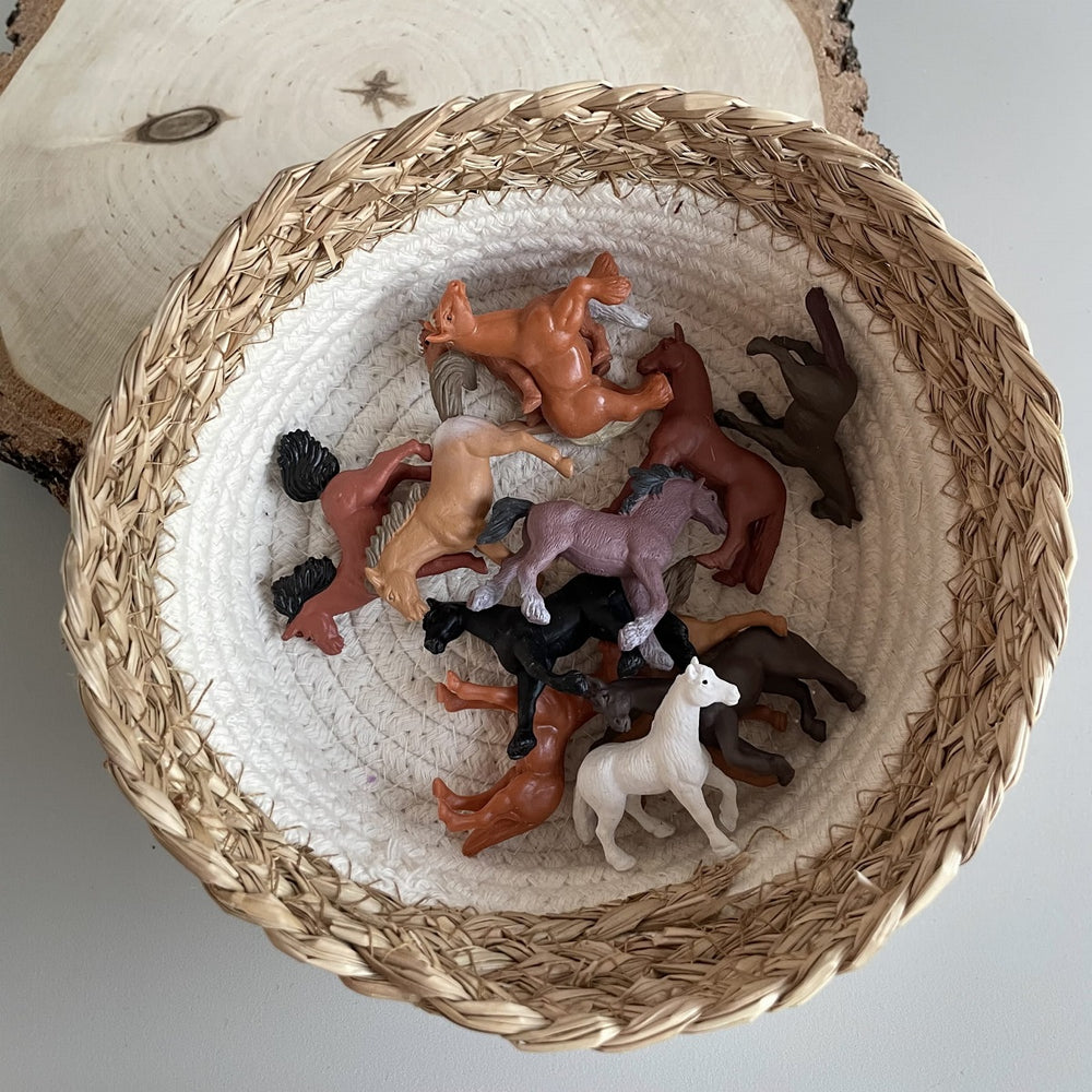 Figurenset in einer TOOB-Röhre – Pferde - tablude.com