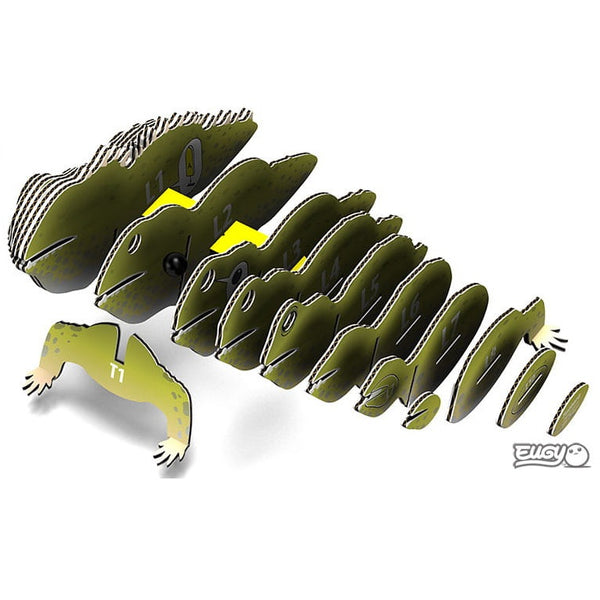 Öko-Puzzle 3D – Schieferzahn - tablude.com