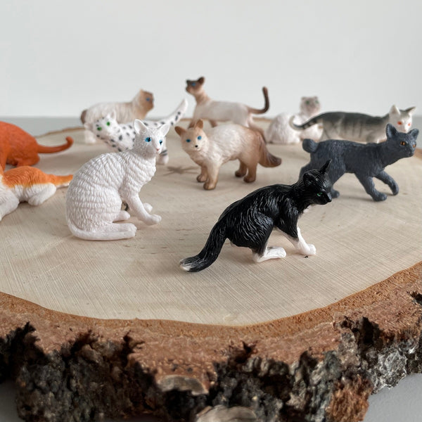 Figurenset in einer Tube TOOB - Hauskatzen - tablude.com