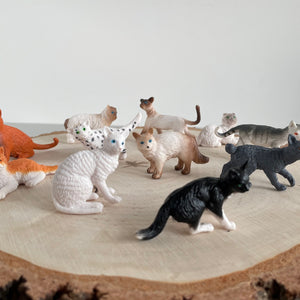 Figurenset in einer Tube TOOB - Hauskatzen - tablude.com