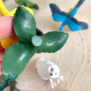 Figurenset in einer Tube TOOB – Exotische Vögel - tablude.com