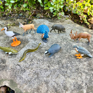 Figurenset in einer TOOB-Röhre – Tiere Europas - tablude.com