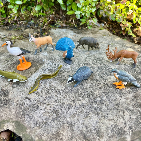 Figurenset in einer TOOB-Röhre – Tiere Europas - tablude.com