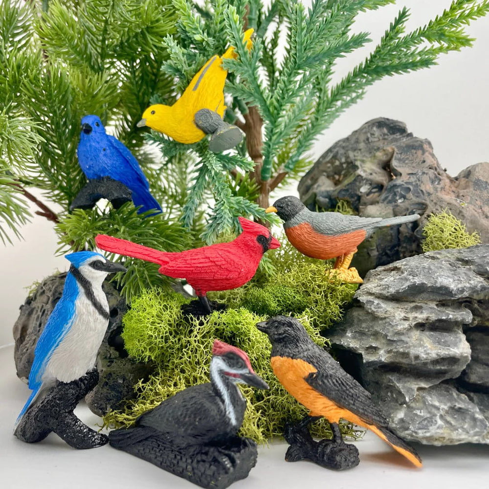 Figurenset in einer TOOB-Röhre – Gartenvögel - tablude.com