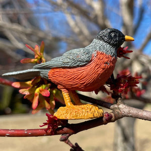 Figurenset in einer TOOB-Röhre – Gartenvögel - tablude.com
