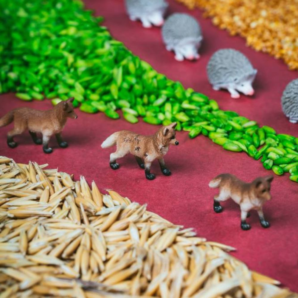 Beobachtungsflasche – Wald - tablude.com