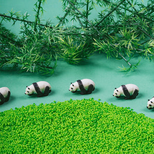 Beobachtungsflasche – Panda - tablude.com