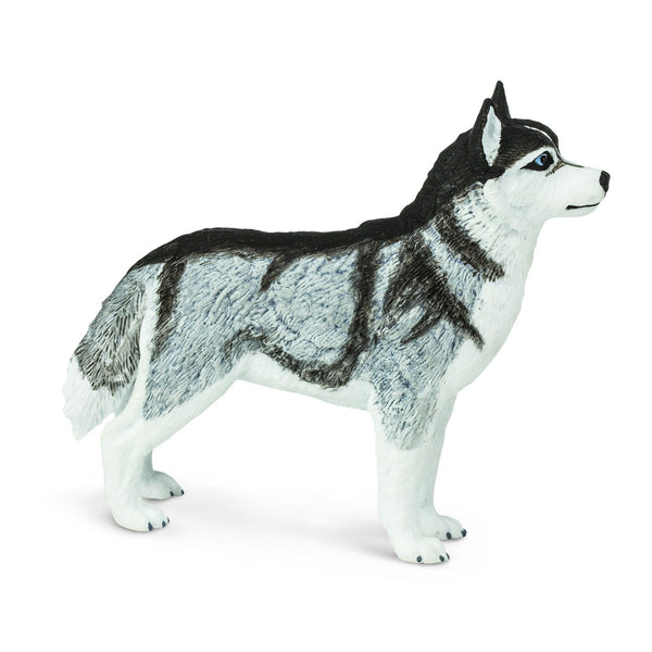 Figur – Siberian Husky - tablude.com