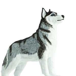 Figur – Siberian Husky - tablude.com