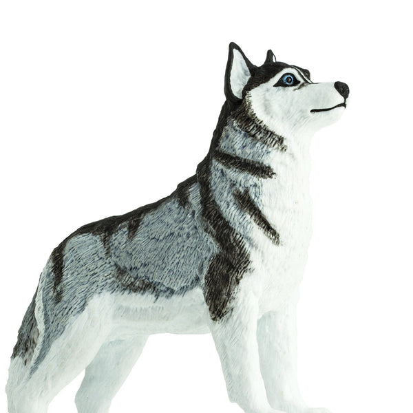 Figur – Siberian Husky - tablude.com