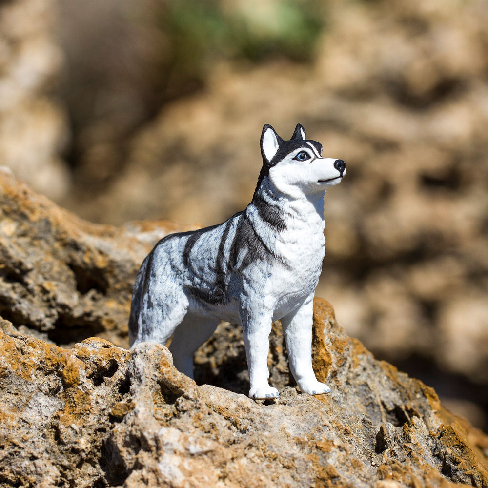 Figur – Siberian Husky - tablude.com