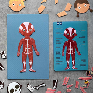 Magnetisches Puzzle – Der menschliche Körper - tablude.com