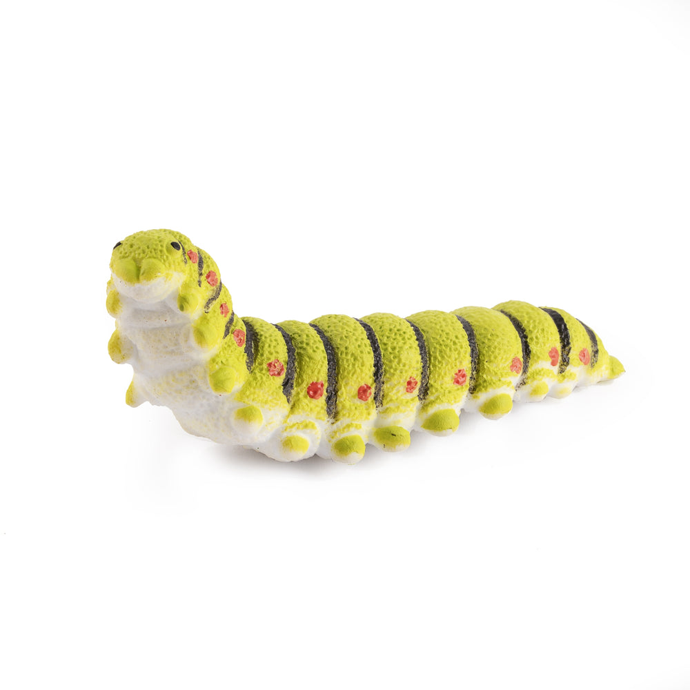 Knetmasse-Set – Insekten 6 Stück - tablude.com