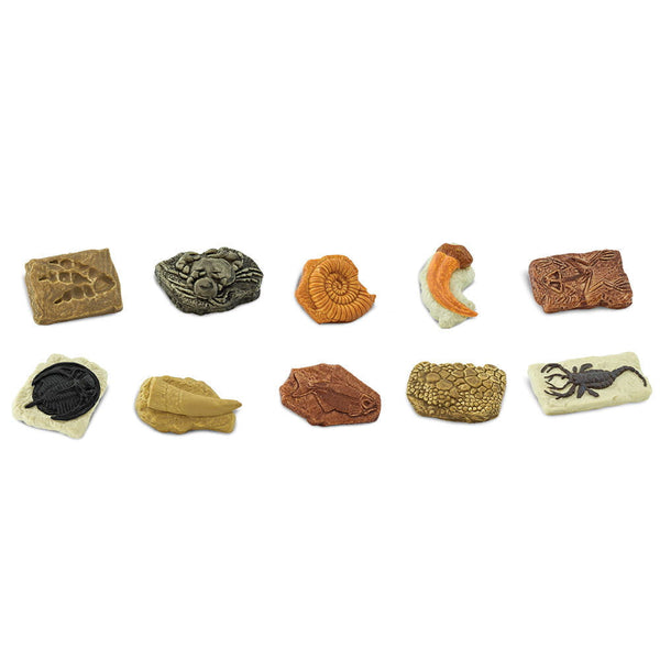 Figurenset in einer Tube TOOB – Fossilien - tablude.com