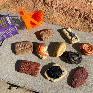 Figurenset in einer Tube TOOB – Fossilien - tablude.com