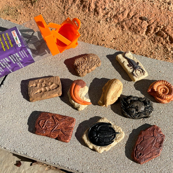 Figurenset in einer Tube TOOB – Fossilien - tablude.com