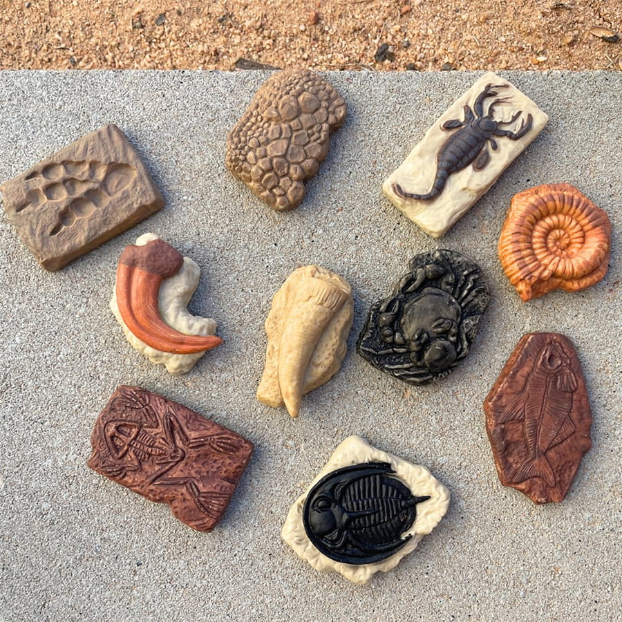 Figurenset in einer Tube TOOB – Fossilien - tablude.com