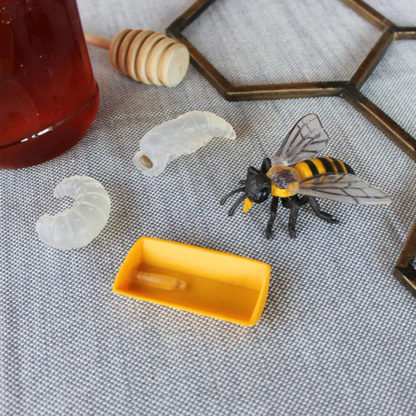 Figurenset Safariology – Lebenszyklus der Bienen - tablude.com