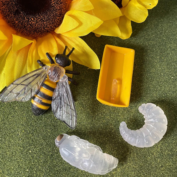Figurenset Safariology – Lebenszyklus der Bienen - tablude.com