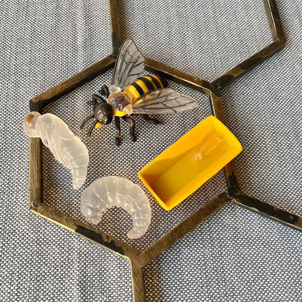 Figurenset Safariology – Lebenszyklus der Bienen - tablude.com