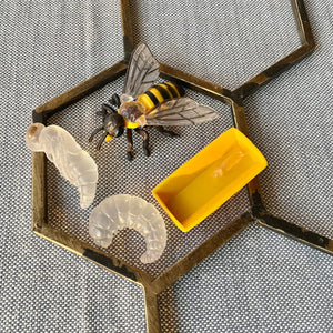 Figurenset Safariology – Lebenszyklus der Bienen - tablude.com