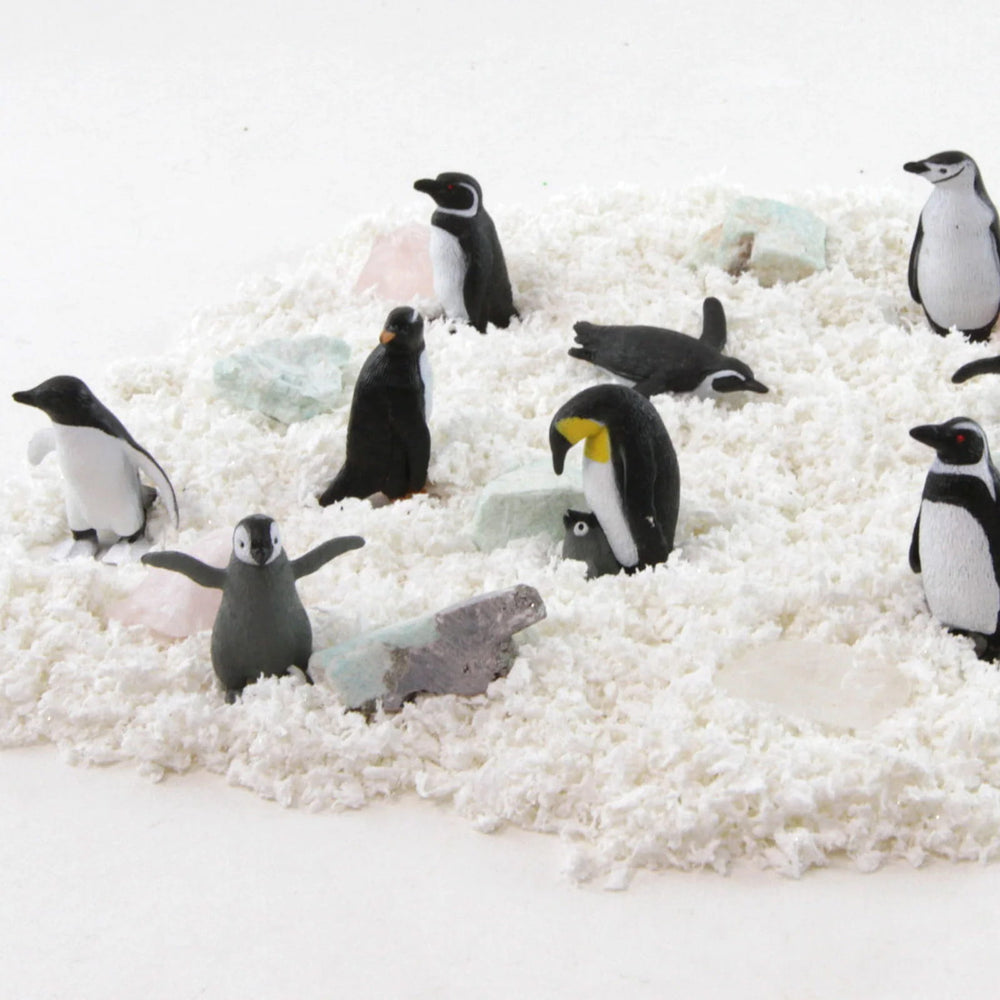 Figurenset in einer TOOB-Röhre – Pinguine - tablude.com