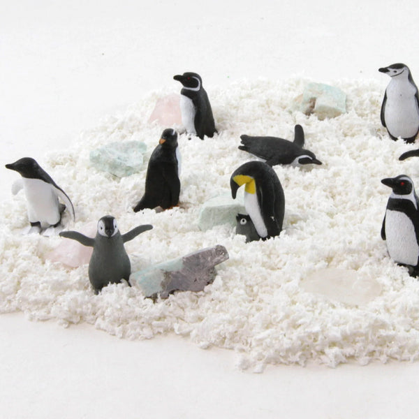Figurenset in einer TOOB-Röhre – Pinguine - tablude.com