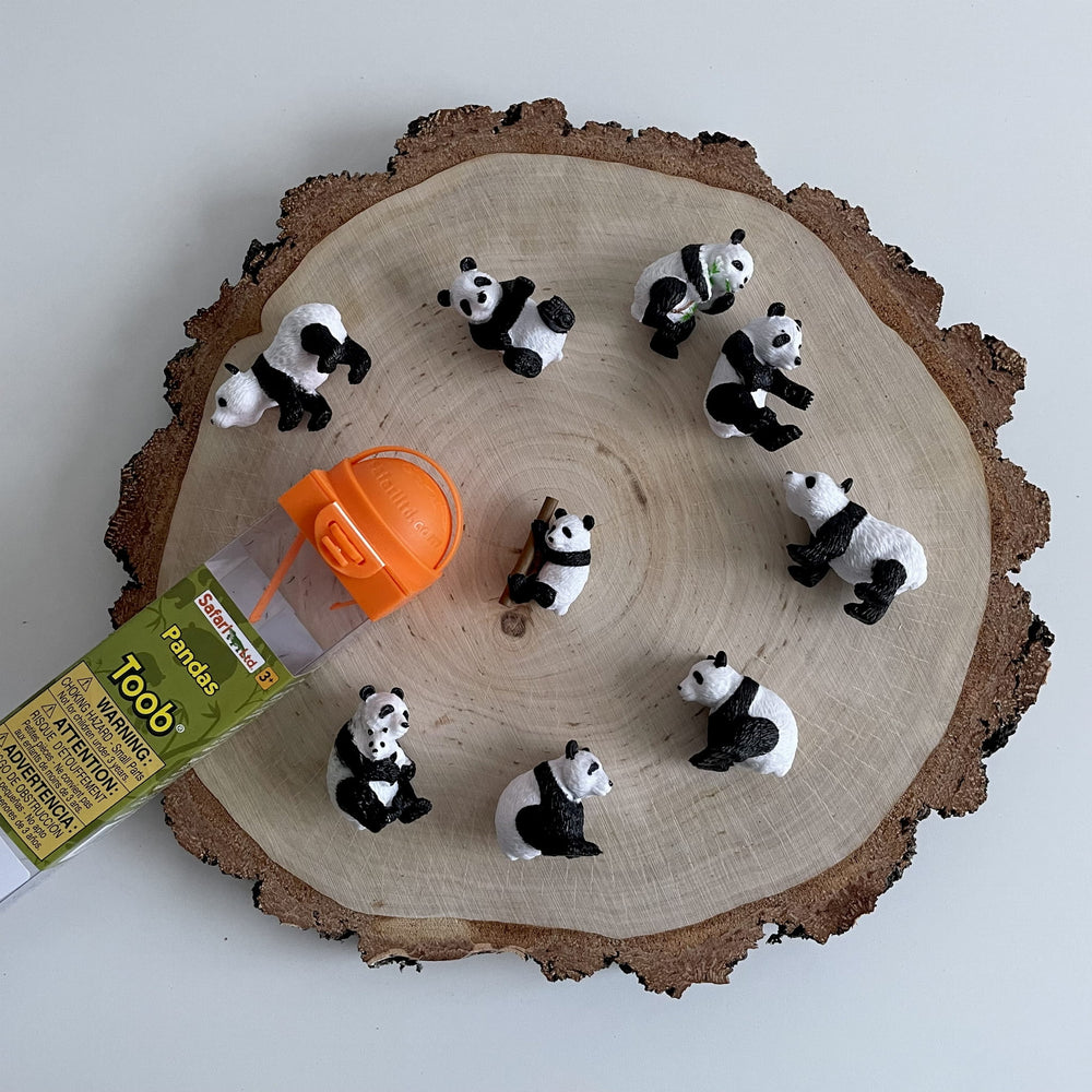 Figurenset in einer Tube TOOB - Pandas - tablude.com