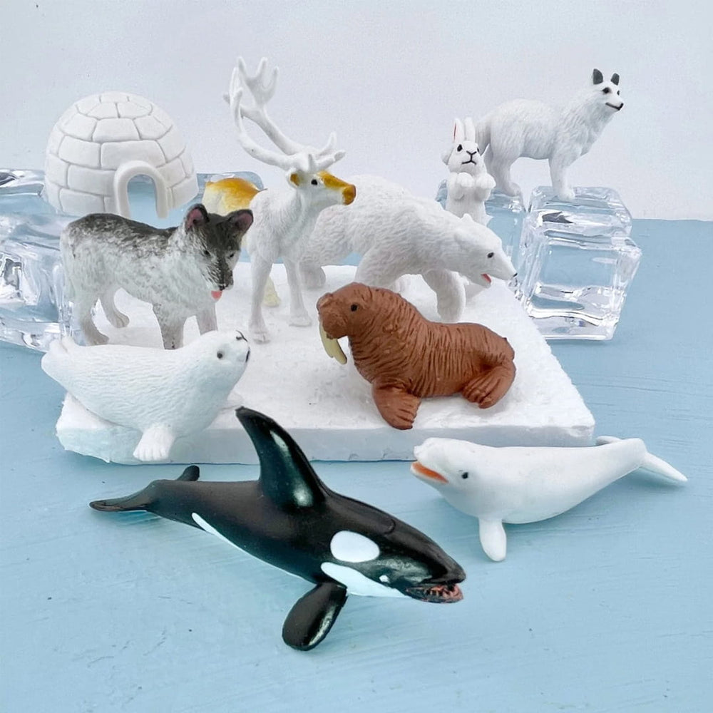 Figurenset in einer Tube TOOB – Tiere der Arktis - tablude.com