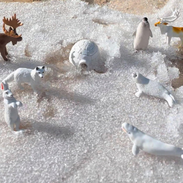 Figurenset in einer Tube TOOB – Tiere der Arktis - tablude.com