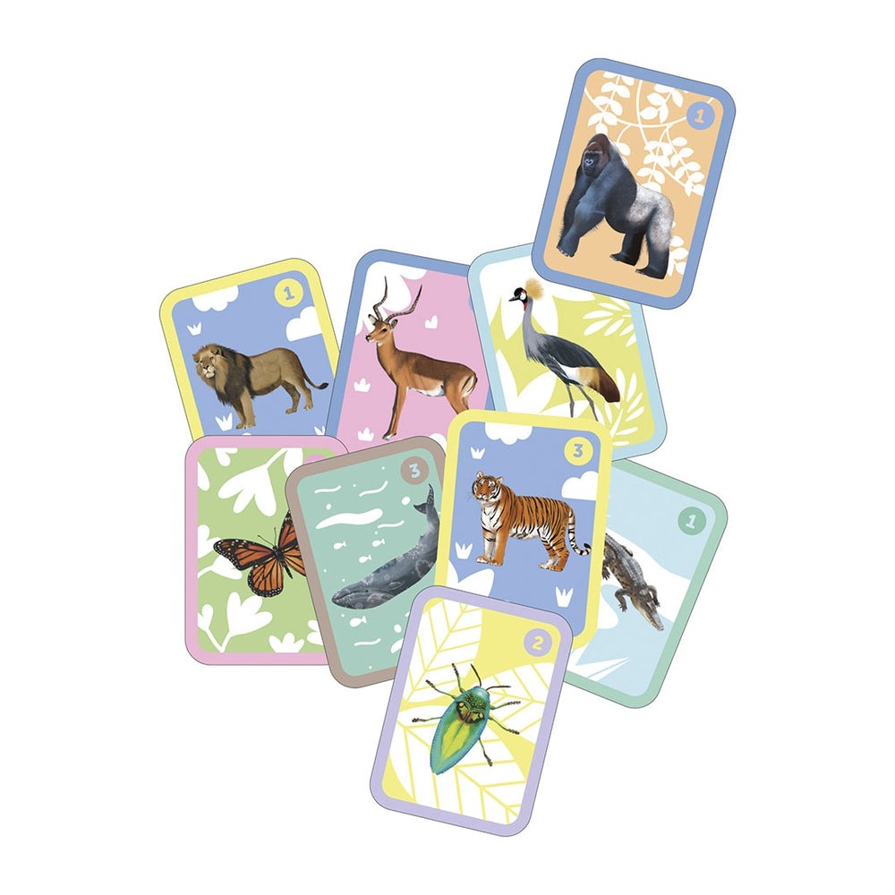 Kartenspiel – Familien - tablude.com