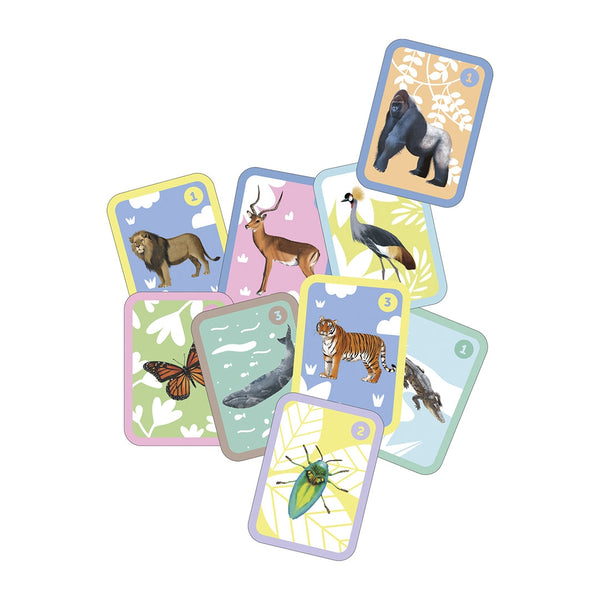 Kartenspiel – Familien - tablude.com