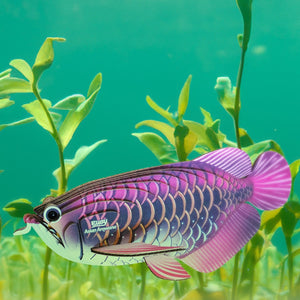 Öko-Puzzle 3D  - Asiatischer Arowana - tablude.com