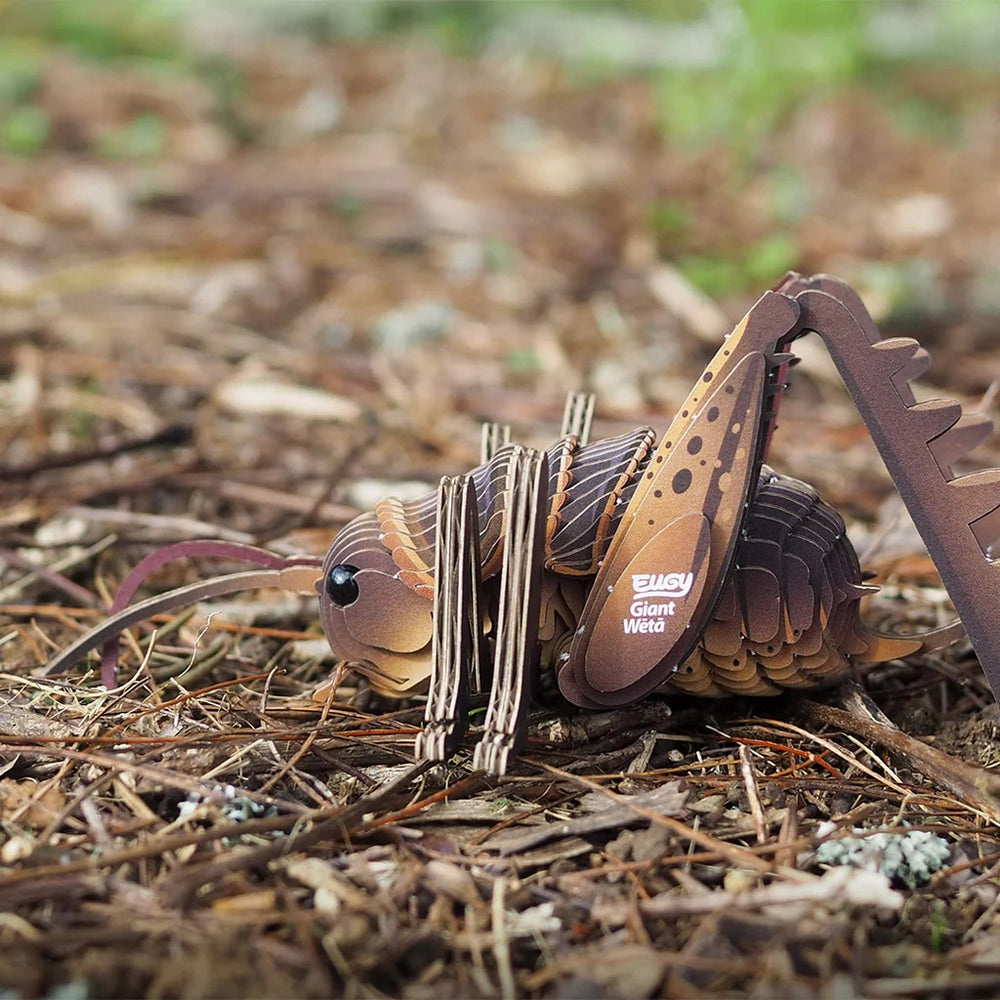 Öko-Puzzle 3D  - Riesige Weta - tablude.com