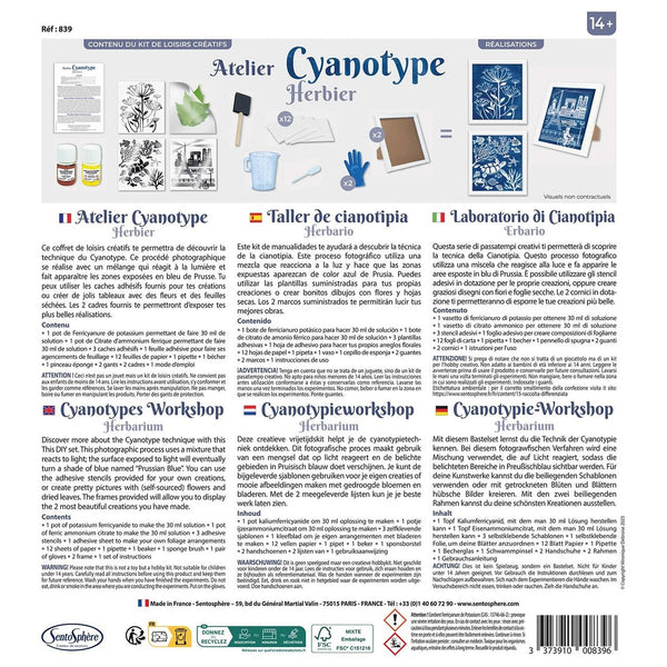 Herbarium in Cyanotypie-Technik